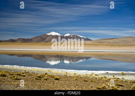 Cordillera de Sud Lipez - Laguna vague en avant Banque D'Images