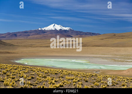 Cordillera de Sud Lipez - Laguna vague en avant Banque D'Images