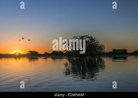 Coucher de soleil dans la baie d'âne dans le parc national du Pantanal Banque D'Images