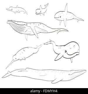 Jeu de ligne vectorielle illustration dessin de caricature les baleines et les dauphins. Illustration de Vecteur