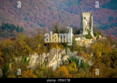 Ruines du château de Drachenfels en automne, Königswinter, Siebengebirge, Rhénanie du Nord-Westphalie, Allemagne Banque D'Images