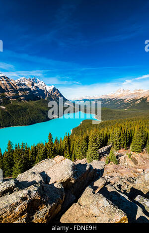 Bleu Le lac Peyto de sommet Bow Banff National Park, Alberta Canada Banque D'Images