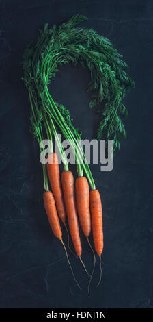 Quelques belles carottes biologiques fraîchement cueillies Banque D'Images