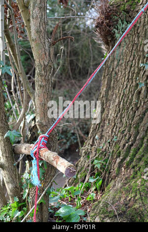 Siège d'une corde de la rivière back swing a tenu dans les arbres en attendant le prochain groupe de jeunes gens à venir et s'amuser. Février 2016 Banque D'Images