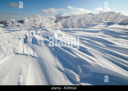 L'hiver dans les montagnes, dans la forêt. L'île de Sakhaline, en Russie Banque D'Images