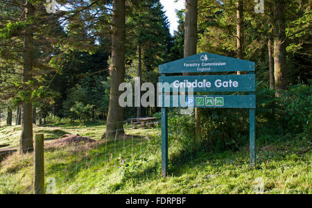 Commission des forêts signe en Gribdale Gate, une randonnée pédestre, randonnée à vélo et pique-nique près de Great Ayton, North York Moors Banque D'Images