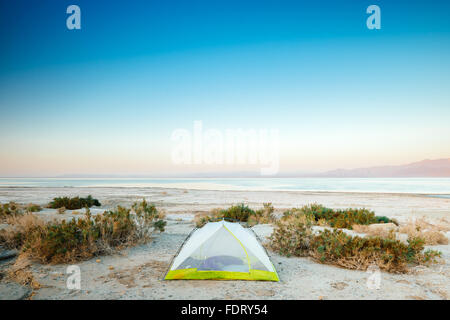 Camping tentes de camping à Salt Creek sur la rive orientale de la mer de Salton, California Banque D'Images