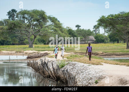 Les villageois de marcher le long d'un chemin d'Elia à la route principale, le nord de la Guinée Bissau. Banque D'Images