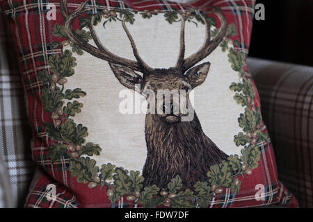 Coussin de Red Deer, Édimbourg, Écosse Banque D'Images