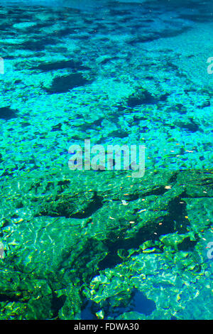 Pool Five-Colored, Jiuzhaigou National Park, dans la province du Sichuan, Chine, Site du patrimoine mondial de l'UNESCO Banque D'Images