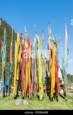 Stupas et les drapeaux de Shuzheng village tibétain, Jiuzhaigou National Park, dans la province du Sichuan, Chine, Site du patrimoine mondial de l'UNESCO Banque D'Images