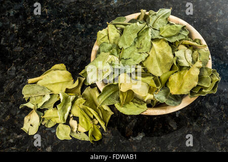 Les feuilles de combava séchées assaisonnement épices agrumes gâteau serait l'hystrix Boissons Boissons Boulangerie joli mélange potable lim kaffir Banque D'Images