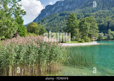 Vue sur les rives du lac de Mondsee dans Alpes autrichiennes Banque D'Images