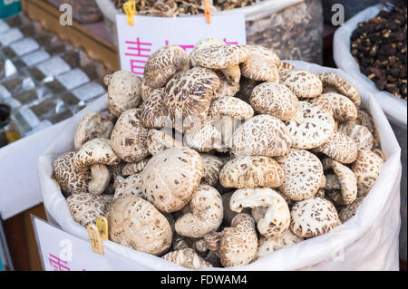 Boutique vendant des champignons, Shuzheng village tibétain, Jiuzhaigou National Park, dans la province du Sichuan Banque D'Images