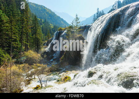 Pearl Shoal Cascade, Jiuzhaigou National Park, dans la province du Sichuan, Chine, Site du patrimoine mondial de l'UNESCO Banque D'Images