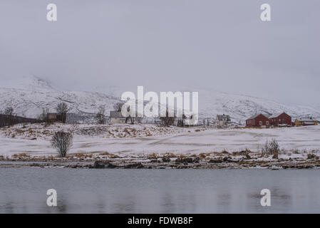 Capturés dans les îles Lofoten, Norvège en janvier 2016. Banque D'Images