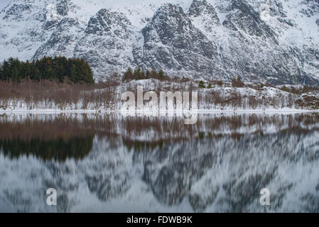 Capturés dans les îles Lofoten, Norvège en janvier 2016. Banque D'Images