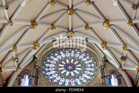 Rosace dans York Minster et plafond détail Banque D'Images