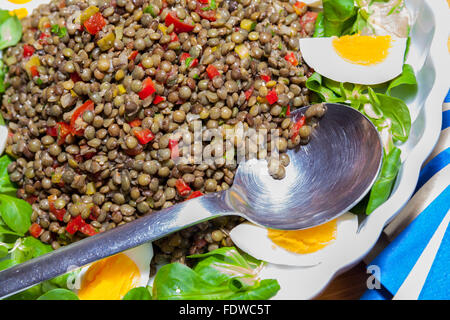 Salade de lentilles noir Banque D'Images