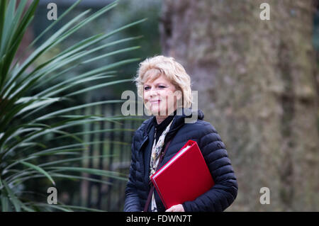 Anna Soubry,ministre de la petite entreprise,l'industrie et de l'entreprise,arrive au numéro 10 Downing Street pour une réunion du Cabinet Banque D'Images