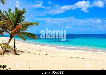 Flamenco Beach sur l'île de Culebra, Puerto Rico Banque D'Images