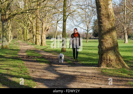 Femme promener son chien dans le parc Victoria, Londres Angleterre Royaume-Uni UK Banque D'Images