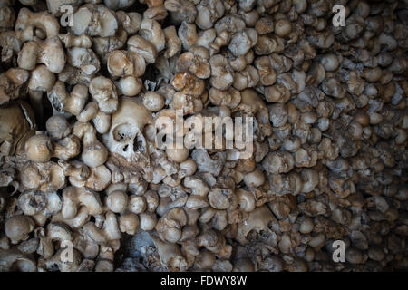 Des crânes humains sur les murs de chapelle de la personne décédée, Capela dos Ossos , Alcantarilha, Algarve, Portugal Banque D'Images