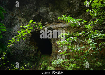 La rivière Camuy Cave Park. PUERTO RICO - île des Caraïbes. Le territoire américain. Banque D'Images