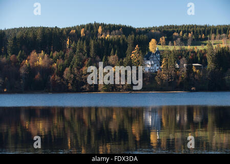 Titisee-Neustadt, Allemagne, Titisee en automne Banque D'Images