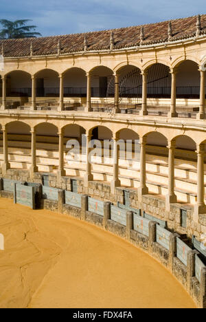 Arènes de Ronda, Andalousie, Espagne Banque D'Images