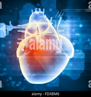 Image virtuelle de coeur humain avec cardiogramme Banque D'Images