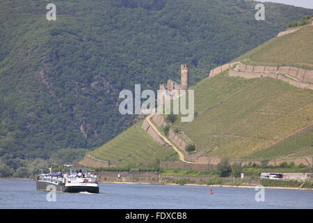 Deutschland, Hessen, Ruedesheim am Rhein, vor Frachtschiff Ruedesheimer Berg mit Burgruine Ehrenfels Banque D'Images