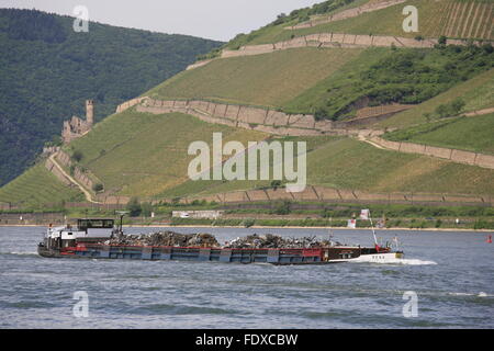 Deutschland, Hessen, Ruedesheim am Rhein, vor Frachtschiff Ruedesheimer Berg mit Burgruine Ehrenfels Banque D'Images