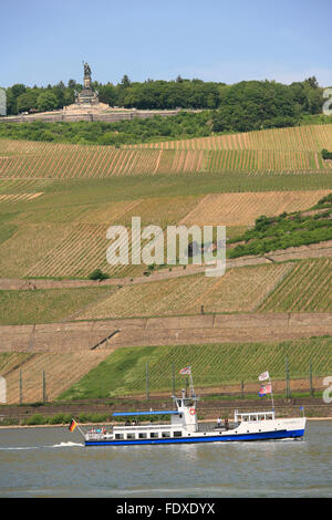 Deutschland, Hessen, Ruedesheim am Rhein, Ausflugs-Schiff vor Ruedesheimer Berg mit Niederwalddenkmal Banque D'Images