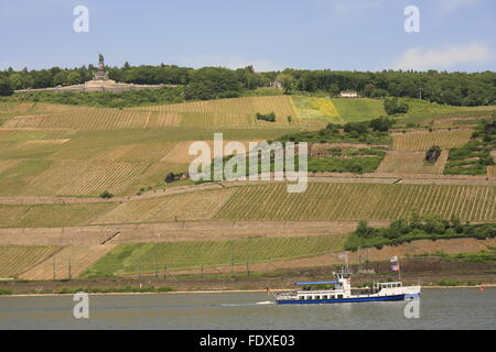 Deutschland, Hessen, Ruedesheim am Rhein, Ausflugs-Schiff vor Ruedesheimer Berg mit Niederwalddenkmal Banque D'Images