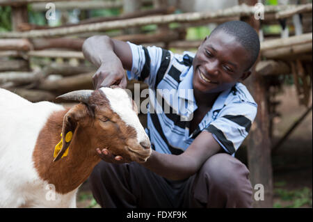 Jeune agriculteur avec de jeunes chèvres Boer, qui produit plus de viande que les races traditionnelles, de l'Ouganda. Banque D'Images