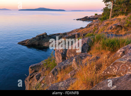 L'île de Saltspring (Colombie-Britannique) : aube lumière sur la côte rocheuse de Beaver Point et le chenal Swanson, parc provincial Ruckle Banque D'Images