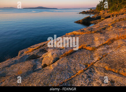 L'île de Saltspring (Colombie-Britannique) : aube lumière sur la côte rocheuse de Beaver Point et le chenal Swanson, parc provincial Ruckle Banque D'Images