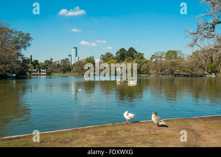 Centre-ville de Buenos Aires dans les parcs de quartier connu sous le nom de Palermo Palermo Woods Banque D'Images