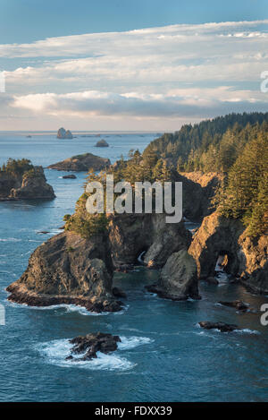 Les ponts naturels salon de Samuel H. Boardman State Scenic Corridor, côte de l'Oregon. Banque D'Images