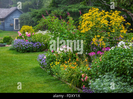 Northeast Harbor, Maine : Thuya jardin en été. Doté d''artemisia, lys, rudbeckia, dahlias et salvia Banque D'Images