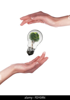 Armoiries et d'ampoules. Symbole de la protection de l'environnement. Collage. Banque D'Images