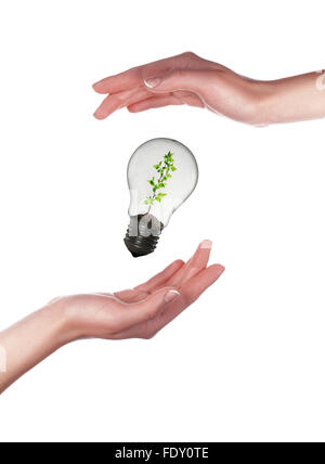 Armoiries et d'ampoules. Symbole de la protection de l'environnement. Collage. Banque D'Images