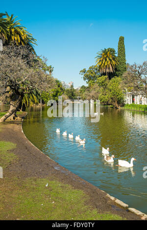 Centre-ville de Buenos Aires dans les parcs de quartier connu sous le nom de Palermo Palermo Woods Banque D'Images
