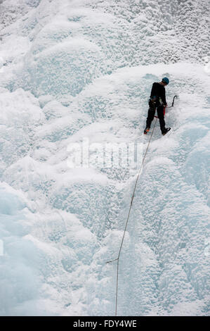 L'escalade sur glace sur la cascade de glace, promenade des Glaciers, Jasper National Park, Alberta, Canada Banque D'Images