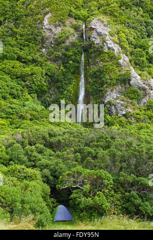 Les campeurs ont choisi un site magnifique près d'une chute à la hauteur de leur tente de Half Moon Bay, Kaikoura, New Zealand. Banque D'Images