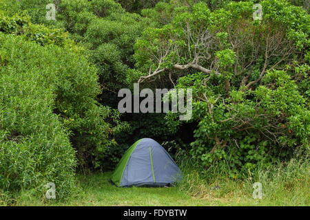 Les campeurs ont choisi un site magnifique à la hauteur de leur tente de Half Moon Bay, Kaikoura, New Zealand. Banque D'Images