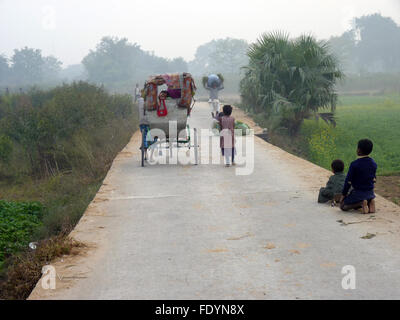 Route de campagne, en passant par les champs dans un village indien Banque D'Images