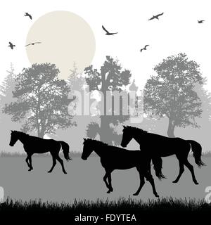 Silhouettes de chevaux dans la belle forêt, vector illustration Illustration de Vecteur
