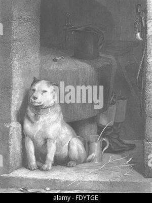 Chiens : Low life-, Landseer ancien c1870 Banque D'Images